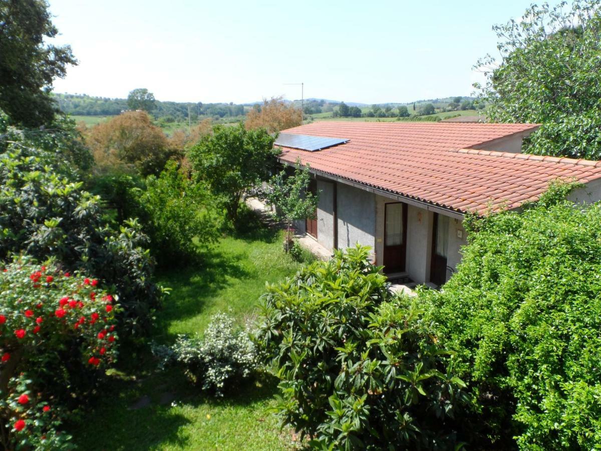 Hôtel Agriturismo Piana Arborello à Magliano in Toscana Extérieur photo