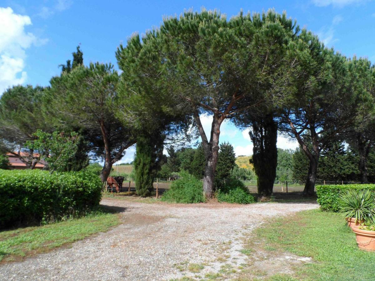 Hôtel Agriturismo Piana Arborello à Magliano in Toscana Extérieur photo