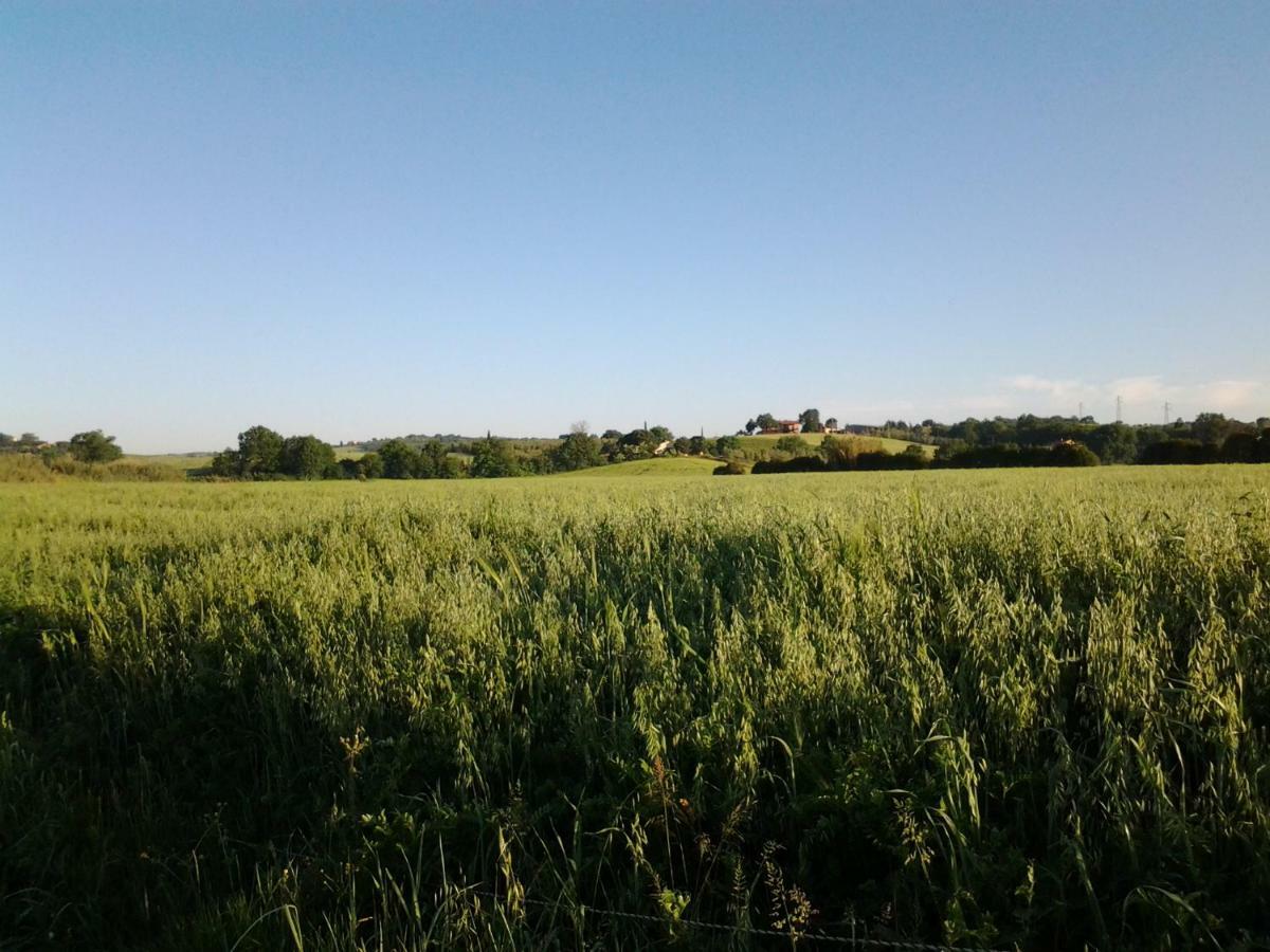 Hôtel Agriturismo Piana Arborello à Magliano in Toscana Extérieur photo